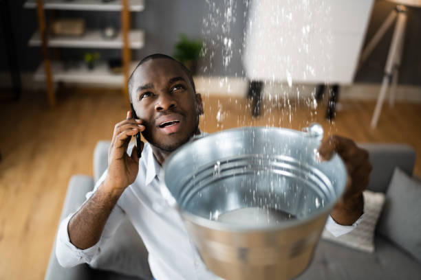 Best Water damage restoration near me  in East Palo Alto, CA