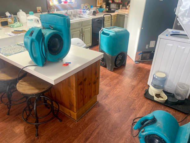  East Palo Alto, CA Water damage restoration Pros