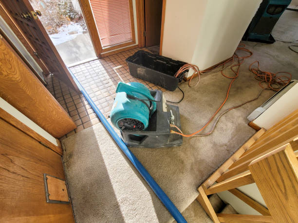 Trusted CA Water damage restoration Experts