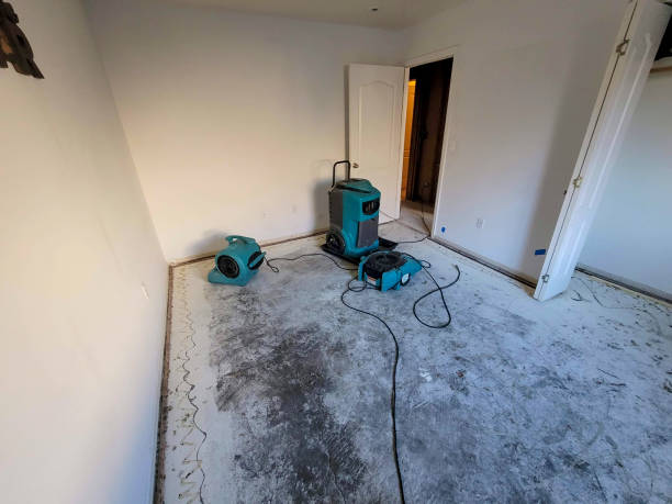 Best Water damage contractors near me  in East Palo Alto, CA