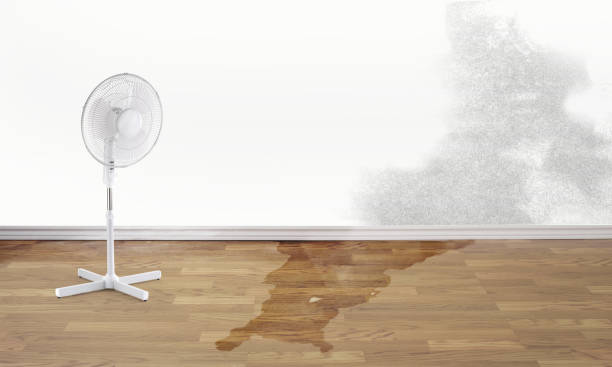 Best Ceiling water damage repair  in East Palo Alto, CA