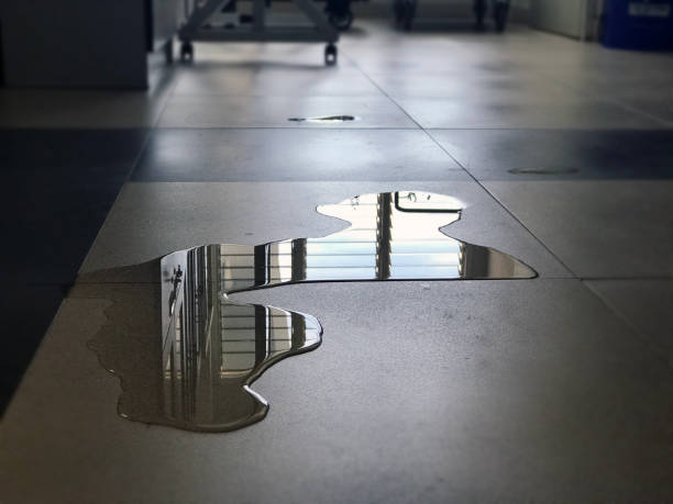 Best Local water damage restoration  in East Palo Alto, CA