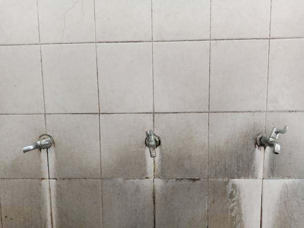 Best Mold removal after water damage  in East Palo Alto, CA