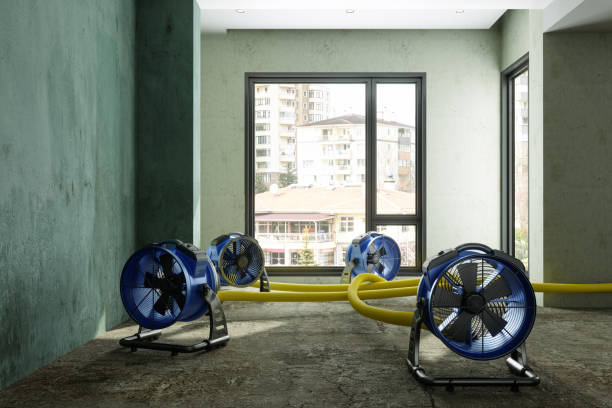 Best Water damage restoration company  in East Palo Alto, CA