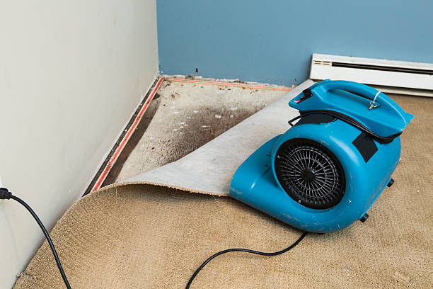 Best Water damage restoration services  in East Palo Alto, CA